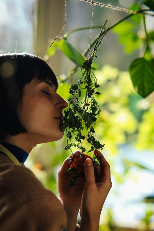 How to Refresh Your Home with Plants: Easy Tips for a Greener Space